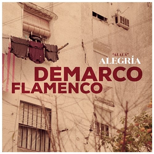 Alegría Demarco Flamenco