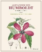Alexander von Humboldt: Botanische Illustrationen. Posterbuch mit 22 Postern Baume Otfried