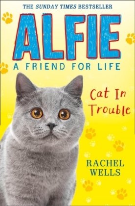 Alfie Cat in Trouble Wells Rachel