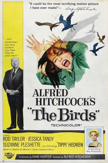 Alfred Hitchcock Ptaki - plakat 61x91,5 cm Galeria Plakatu