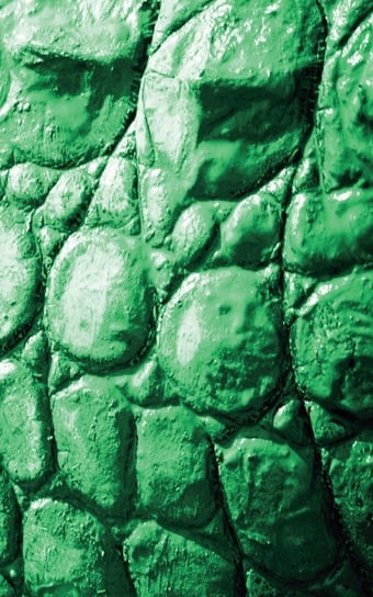 Alive! Crocodile Skin - Emerald Duotone - Photo Art Notebooks (5 X 8 Series) Jansson Eva-Lotta