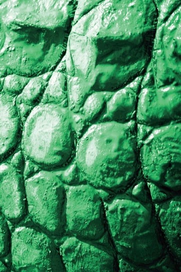 Alive! crocodile skin - Emerald duotone - Photo art notebooks (6 x 9 series) Eva-Lotta Jansson