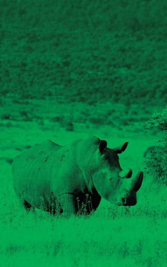 Alive! White Rhino - Green Duotone - Photo Art Notebooks (5 X 8 Series) Jansson Eva-Lotta