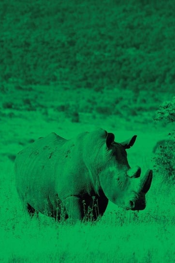 Alive! White Rhino - Green Duotone - Photo Art Notebooks (6 X 9 Series) Jansson Eva-Lotta