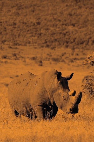 Alive! White Rhino - Sepia - Photo Art Notebooks (6 X 9 Version) Jansson Eva-Lotta