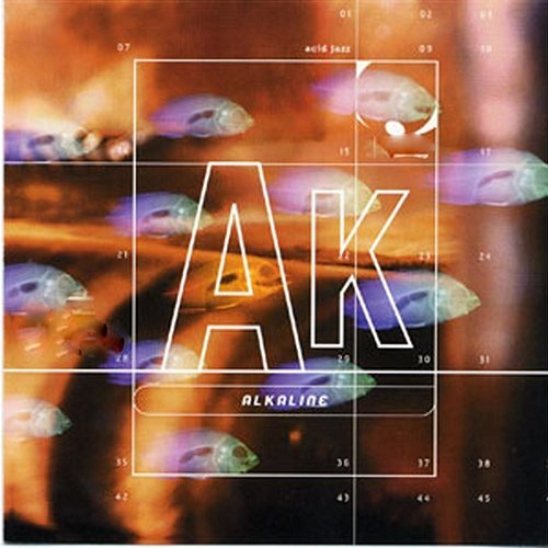Alkaline: Acid Jazz New York Jazz Ensemble