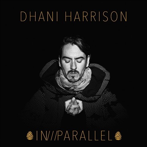 All About Waiting Dhani Harrison