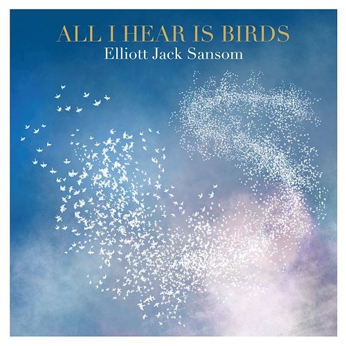 All I Hear Is Birds, Elliott Jack Sansom