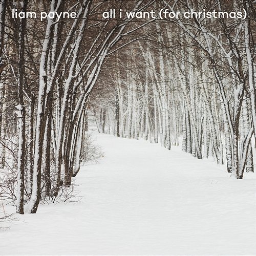 All I Want (For Christmas) Liam Payne