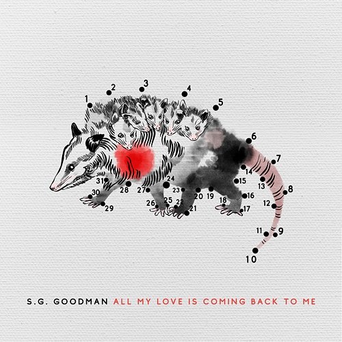 All My Love Is Coming Back To Me S.G. Goodman