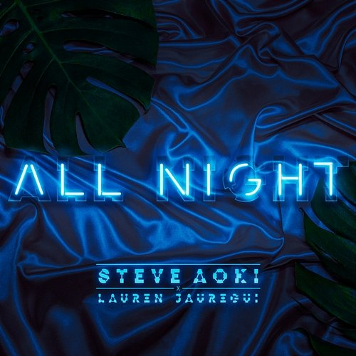 All Night Steve Aoki x Lauren Jauregui