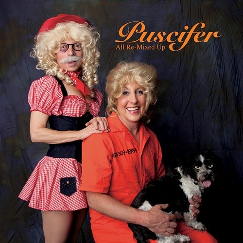 All Re-Mixed Up Puscifer