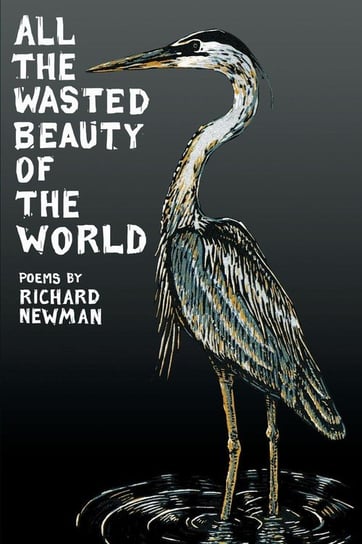 All the Wasted Beauty of the World - Poems Newman Richard