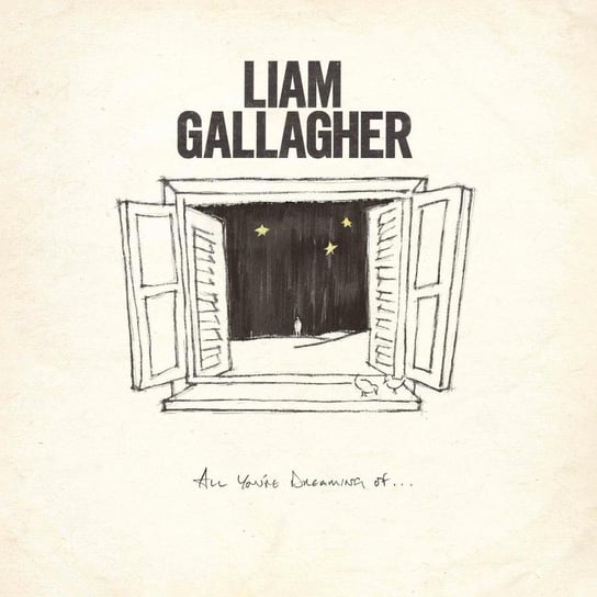 All You're Dreaming Of, płyta winylowa Gallagher Liam