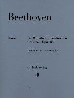 Alla Ingharese quasi un Capriccio G-dur op. 129  [Die Wut über den verlorenen Groschen] Beethoven Ludwig