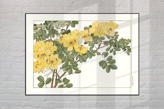 Allamanda Plakat Japonia Grafika Vintage 30x40 cm (A3) / DodoPrint Dodoprint