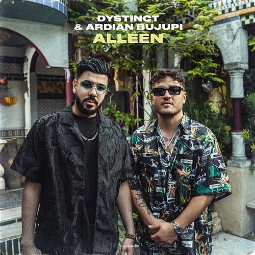 Alleen DYSTINCT feat. Ardian Bujupi