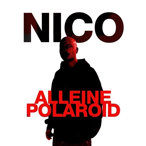 ALLEINE / POLAROID Nico
