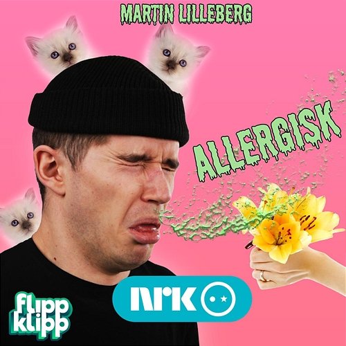 Allergisk Martin Lilleberg, NRK FlippKlipp