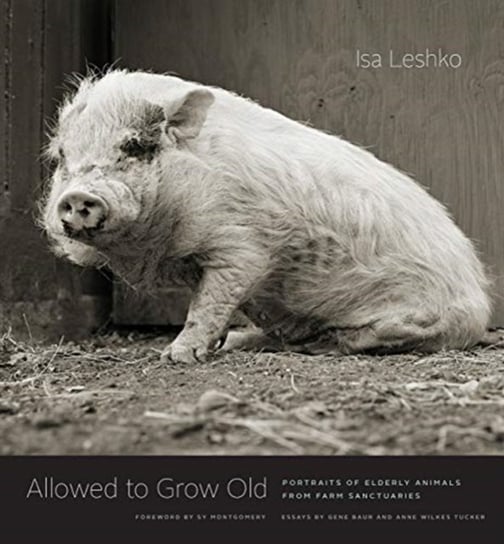 Allowed to Grow Old: Portraits of Elderly Animals from Farm Sanctuaries Univ Of Chicago Pr