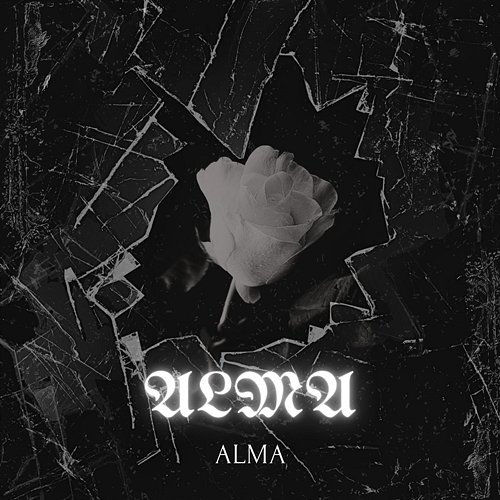 Alma Young Latin 23