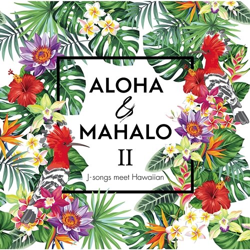 Aloha & Mahalo Two Various Artists