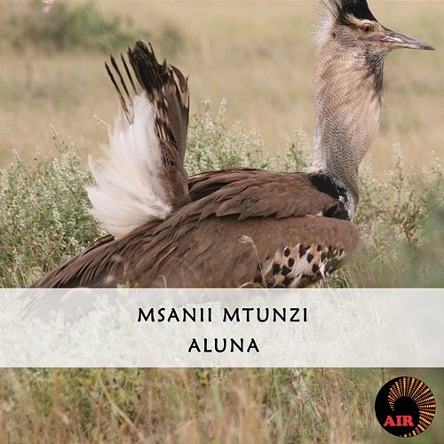 Aluna Msanii Mtunzi