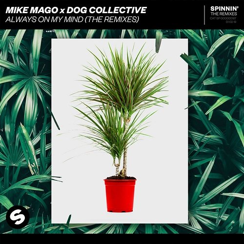 Always On My Mind Mike Mago x Dog Collective