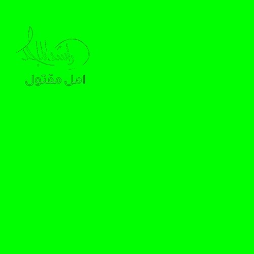 Amal Maqtool Rashed Al Majed
