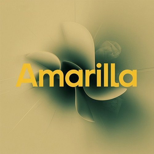Amarilla Polonpo Yunior RM