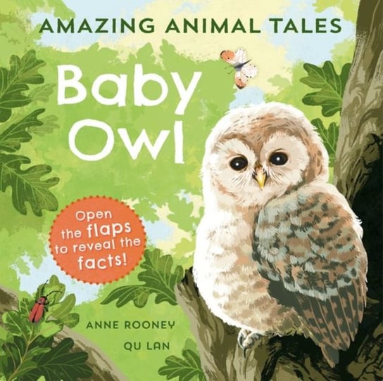 Amazing Animal Tales. Baby Owl Rooney Anne