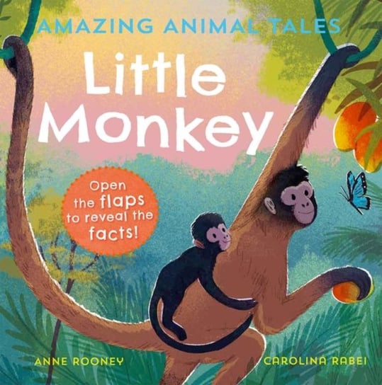 Amazing Animal Tales: Little Monkey Rooney Anne