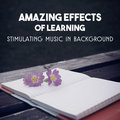 Amazing Effects of Learning – Stimulating Music in Background, Increase Brain Skills, Mind Focus & Concentration, Calm Sounds for Exam Study Mind Improvement Society
