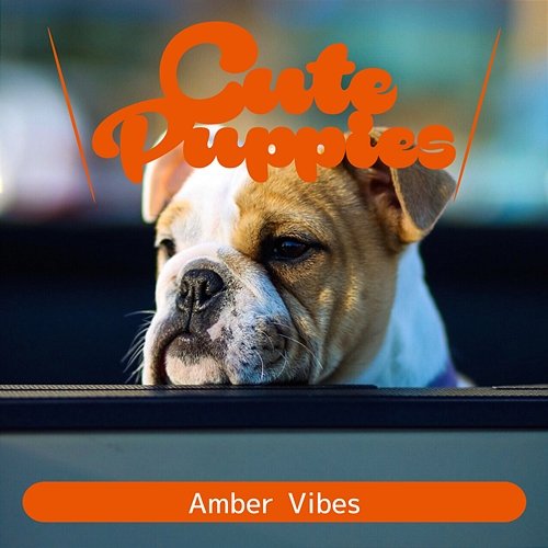 Amber Vibes Cute Puppies