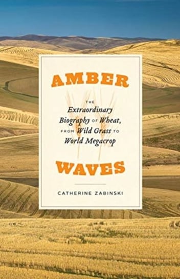 Amber Waves - The Extraordinary Biography of Wheat, from Wild Grass to World Megacrop Catherine Zabinski