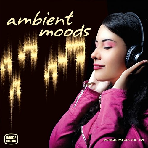 Ambient Moods Tracy Bartelle
