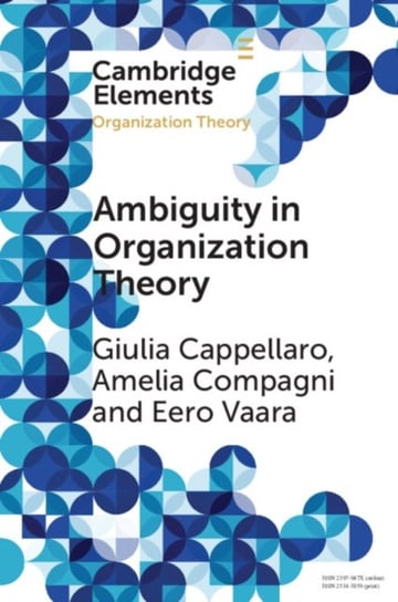 Ambiguity in Organization Theory: From Intrinsic to Strategic Perspectives Opracowanie zbiorowe