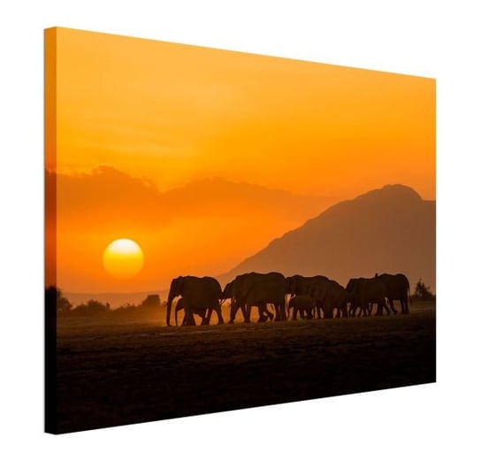 Amboseli Sunset - obraz na płótnie Pyramid