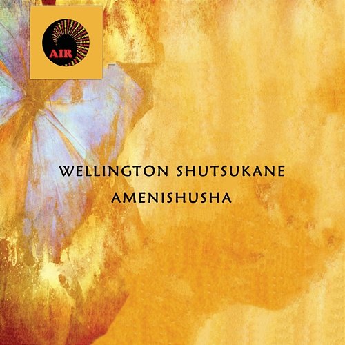 Amenishusha Wellington Shitsukane