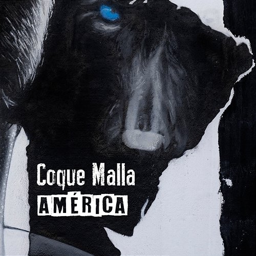 América Coque Malla
