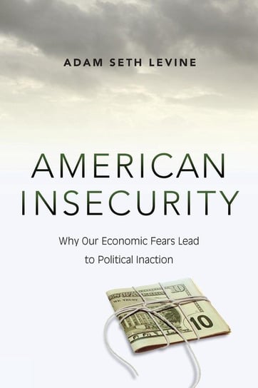 American Insecurity Levine Adam Seth