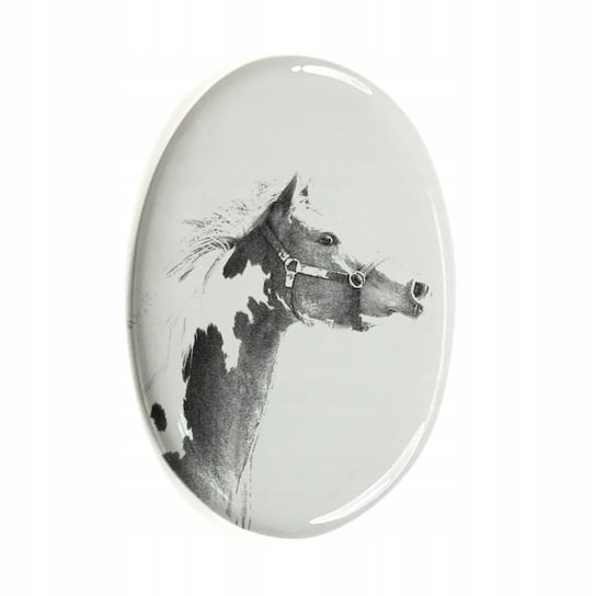 American Paint Horse Płytka ceramiczna pamiątka Inna marka