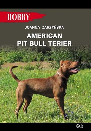 American Pit Bull Terier Zarzyńska Joanna