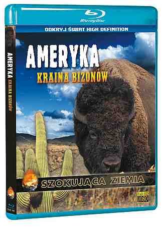 Ameryka: Kraina bizonów Begoin Stephane