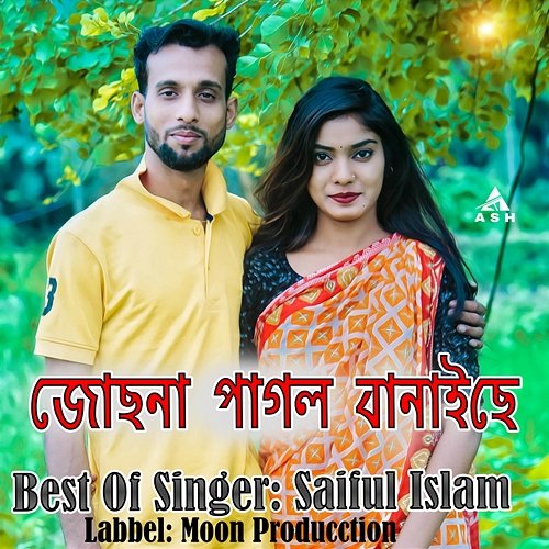 Ami Bese Thakte Saiful Islam