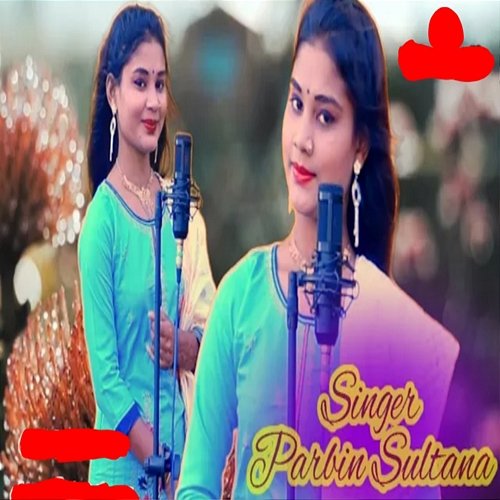 Ami Chailam Jare Parbin sultana