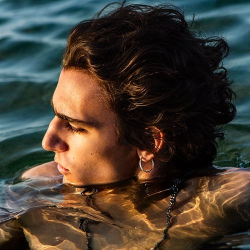 Amir Tamino