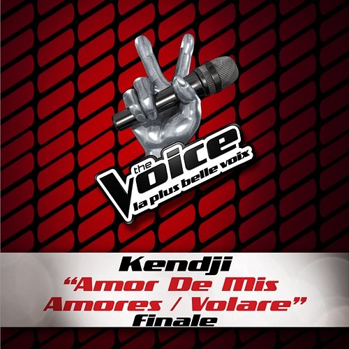 Amor De Mis Amores / Volare - The Voice 3 Kendji Girac