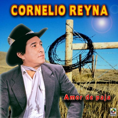Amor de Paja Cornelio Reyna