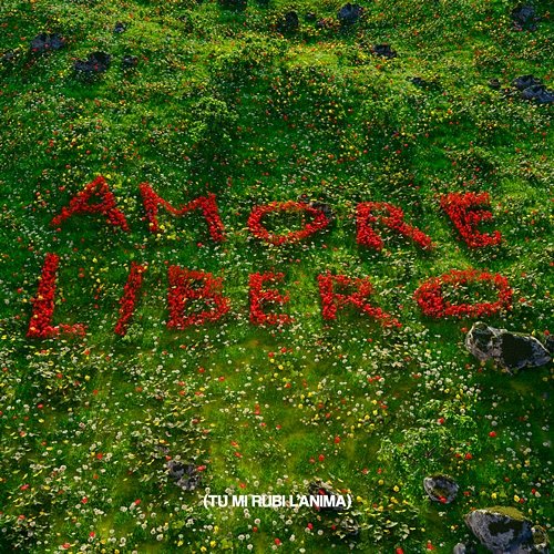 Amore Libero (tu mi rubi l'anima) Ricko Schwartz, Collage & Daniele Franzese
